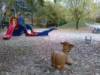 Spielplatz Sindlinger Wiesen in Kelkheim (Taunus)