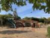 Spielplatz Rübländer in Böblingen