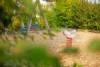Spielplatz Am Zuckerlottchen in Ingelheim am Rhein