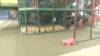 Spielplatz Pepelino Spieleparadies in Westerrönfeld