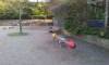 Spielplatz Am Schafbrinke in Hannover