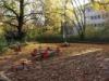 Spielplatz Wurmlingerstr. - Ecke Albstr. in Stuttgart