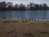 Spielplatz Hegbachsee und DLRG Freibad in Nauheim