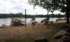 Spielplatz Silbersee Nordufer in Langenhagen