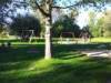 Spielplatz Fuldaaue in Kassel