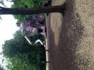 Spielplatz KIKS UP-Waldspielplatz Goldsteinpark in Bad Nauheim