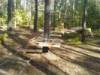 Spielplatz Waldspielplatz Steinbrüchlein in Nürnberg