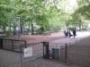 Spielplatz Bonifatiusplatz in Hannover