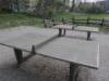 Spielplatz Dschungelspielplatz im Bäkepark in Berlin