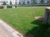 Spielplatz Dortmunder Straße in Köln