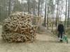 Spielplatz Bienenwaldspielplatz in Feuchter Forst