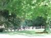 Spielplatz Alter Friedhof in Wiesbaden