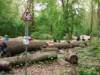 Spielplatz Mountainbike-Parcours Eilenriede in Hannover
