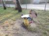 Spielplatz Spielplatz Im kleinen Hope in Edemissen
