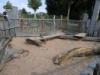 Spielplatz Pferdehof in Marktoberdorf
