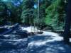 Spielplatz Karlstern im Käfertaler Wald in Mannheim