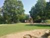 Spielplatz Schulstraße in Dörfles-Esbach