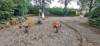 Spielplatz Platanenstraße in Neukirchen-Vluyn