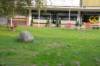 Spielplatz EKZ Schillerstraße in Salzgitter