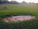 Spielplatz Trimm dich Pfad Haarhausen in Wachsenburggemeinde