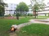 Spielplatz Schlangenspielplatz in Laatzen