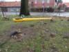 Spielplatz Spiel- und Bolzplatz Dorfgemeinschaftshaus / Am Spielplatz in Edemissen