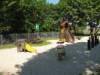 Spielplatz Spielplatz Nächst-Neuendorf in Zossen