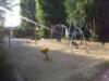 Spielplatz Kandisweg in Laatzen