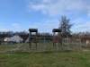 Spielplatz Harry-Garm-Weg in Mayen