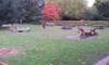 Spielplatz Planten un Bloomen in Hamburg