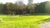 Spielplatz Am Wald in Schwarzenbek