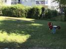 Spielplatz Saglerstraße II in Höhenkirchen-Siegertsbrunn