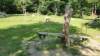 Spielplatz Fuchsspielplatz in Kirchdorf im Wald