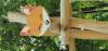 Spielplatz Fuchsspielplatz in Kirchdorf im Wald