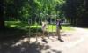 Spielplatz Kurpark Warnemünde in Rostock