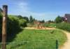 Spielplatz Orchideenstrasse in Buxtehude
