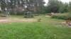 Spielplatz Waldspielplatz am Waldsee in Viernheim