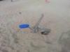 Spielplatz Sprottenhopser in Fehmarn