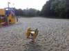 Spielplatz Sprottenhopser in Fehmarn