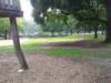 Spielplatz Bertha-von-Suttner-Platz II in Hannover