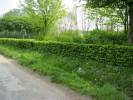 Spielplatz Am Mühlenbach in Leopoldshöhe