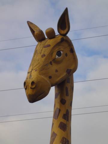 Foto /pics/204-dsc01795.jpg