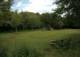 Am Wald