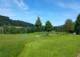 Am Buchenwald