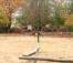 Spickelspielplatz