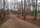 Webicht