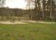 Am Steimker Berg (Wiese vor dem Parkhotel)