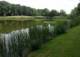 Seewoog Miesenbach