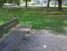 Raupenspielplatz