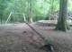 Am Wildtierpark Bretten